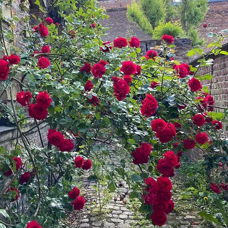 Βίλα 3 Chbres, 3 Sdb, Jardin, Calme, Centre *